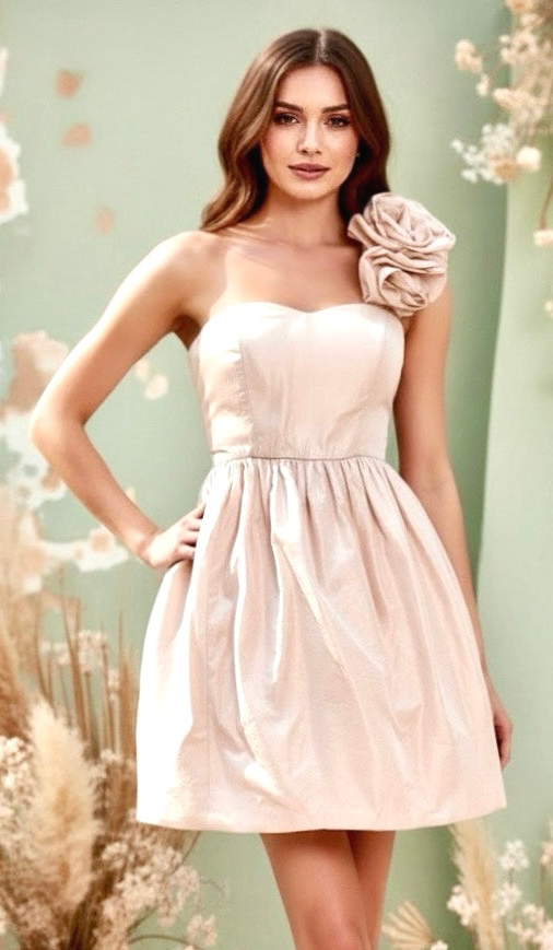 Marchesa Ballet Pink Dress