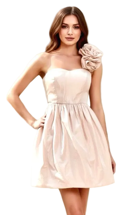 Marchesa Ballet Pink Dress
