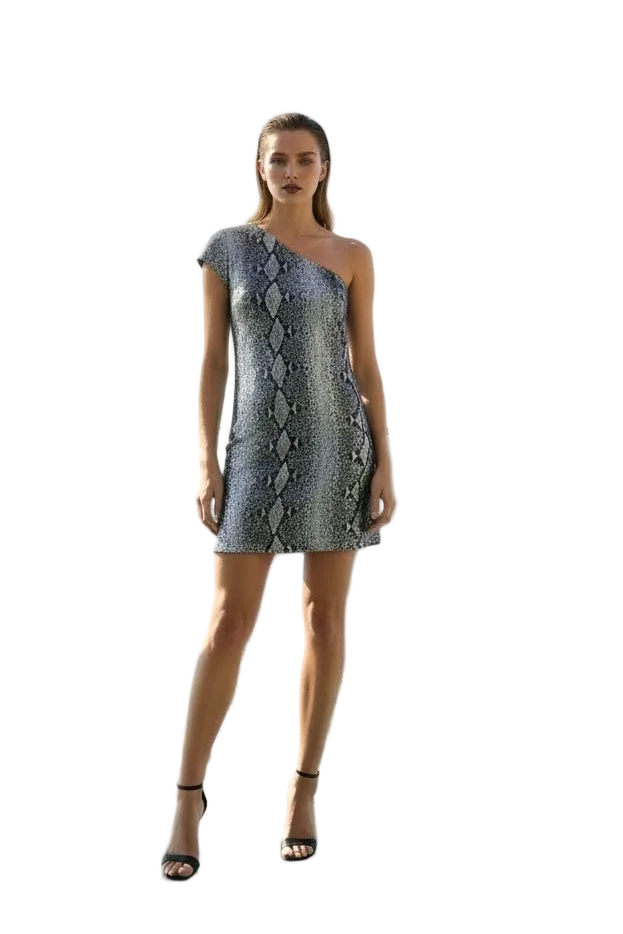 Arden B Animal Print Sequin Dress